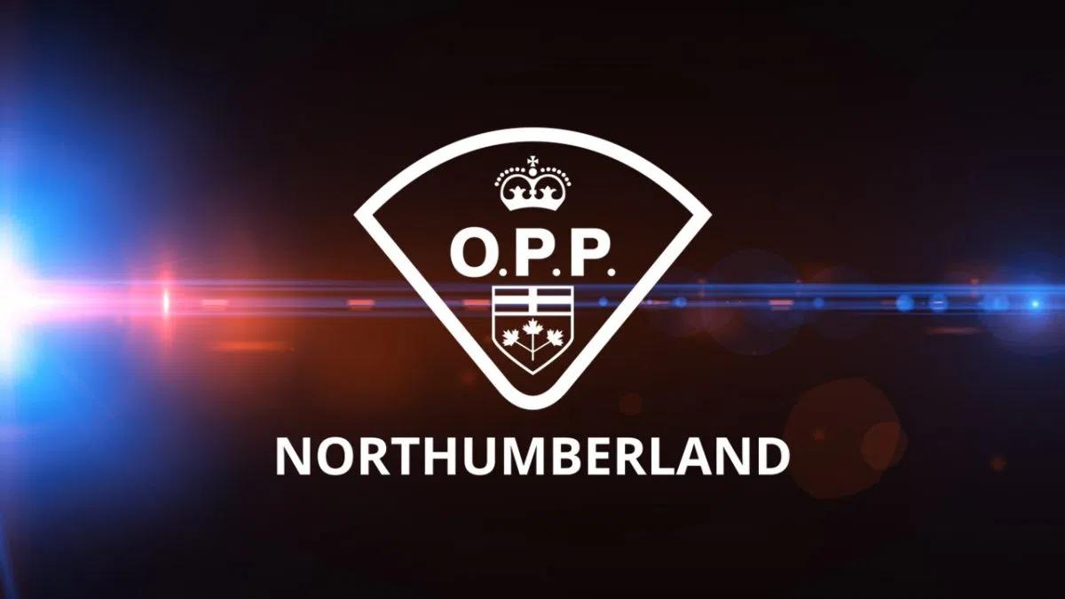 Both drivers in Northumberland collision charged