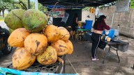 Aumentan ventas de coco frío en Ciudad Guayana ante ola de calor