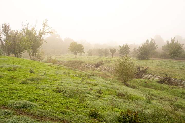 Mairena avanza hacia la segunda fase del Parque Central con 15 nuevas hectáreas de zonas verdes