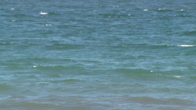 More than 100 people rescued at Hampton Beach in a week due to rip currents