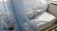 Casos de dengue bajaron 73 por ciento en Guatemala contra 2024