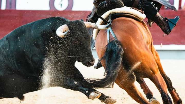 Las Ventas dedica el final de agosto al rejoneo con dos corridas y un homenaje a Rafael Peralta