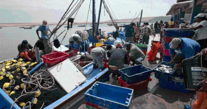 Pescadores jubilados denuncian "pensiones de hambre": más de 20.000 sobreviven con menos de S/500