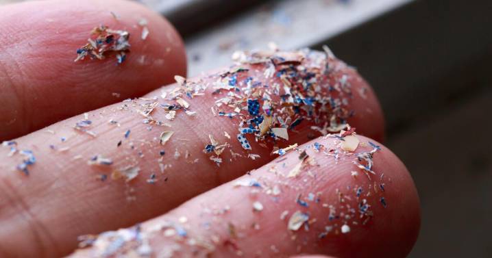 Column: Microplastics are just one way the world is trying to kill you