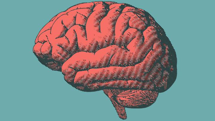 Brains of 'superagers' offer clues to resilience against Alzheimer's