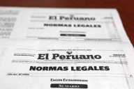 Normas legales: dejan sin efecto Resolución Suprema N° 176