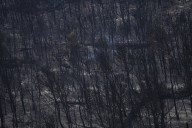 Firefighters battle to prevent reignition of France’s largest wildfire as residents return home