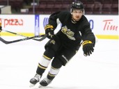 Sarnia Sting lose to London Knights in pre