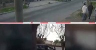 VIDEO La Matanza: mataron a una mujer frente a su hijo y dos de los asesinos siguen prófugos
