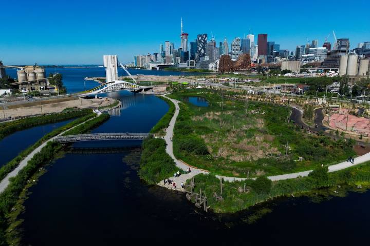 How cities can give nature a helping hand