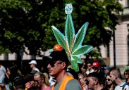 Trump agita a la derecha al plantear la reclasificación de la marihuana