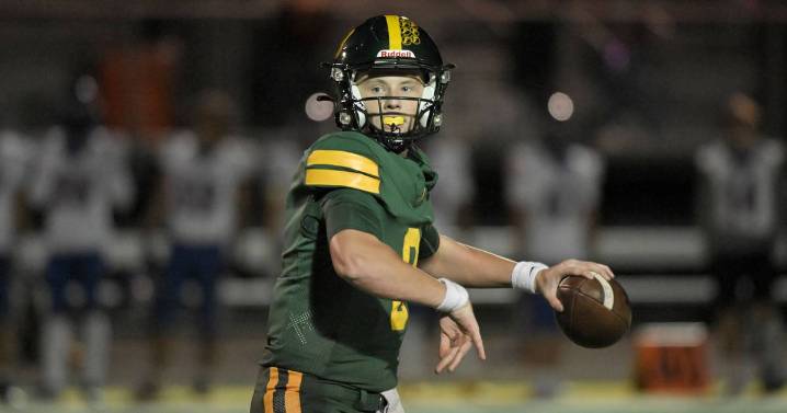 2025 season preview: Scouting the Mid-Suburban League – Shaw Local