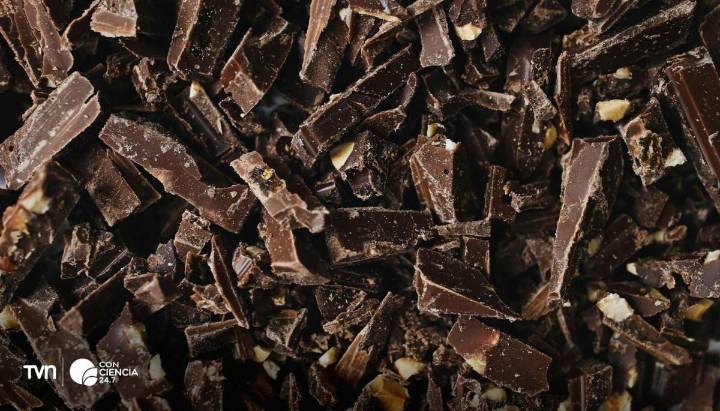 ¿Por qué el chocolate sabe tan bien? El secreto está en los microbios que fermentan el cacao
