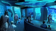 Shark Encounter experience at SeaWorld San Diego to undergo new look