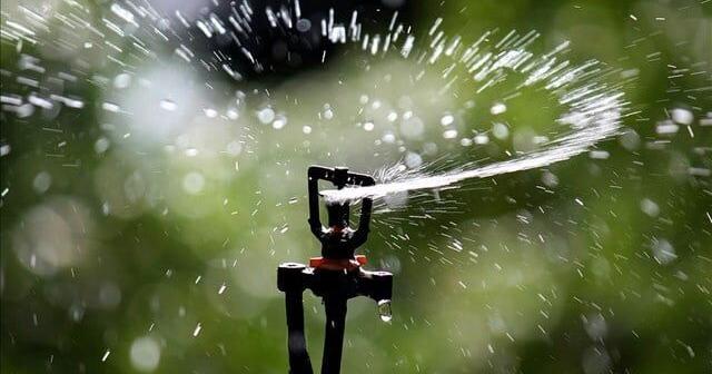 Budget, water restrictions and Delano consumption area on docket for Wichita city council