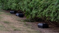 Sanitation measures tackle Huntington rat infestation issue