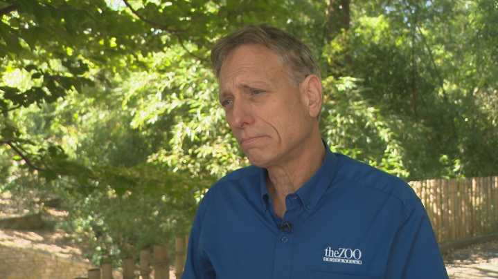 Louisville Zoo director recalls surviving Hurricane Katrina at New Orleans zoo