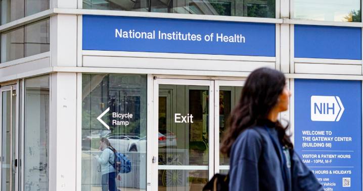 Supreme Court allows Trump's cuts to NIH grants over DEI policies