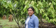 La conservación de los bosques es clave frente a impactos del cambio climático