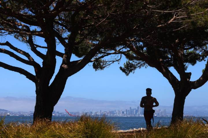 Bay Area’s mild summer resumes as cool
