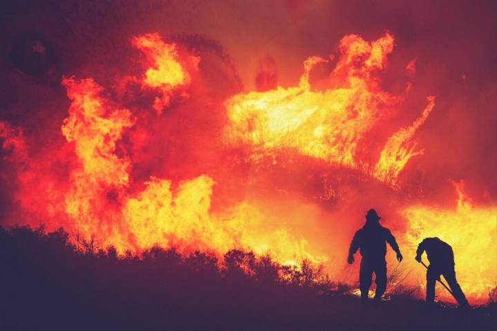 Immigration raid at Washington blaze stokes fear in wildfire crews nationwide