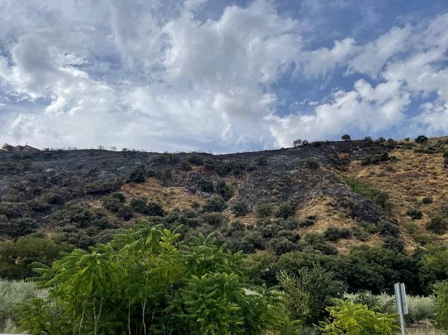 Estabilizado para su control el incendio en Cenes de la Vega