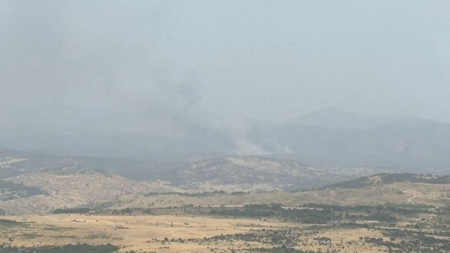 Medio centenar de efectivos participan en la extinción de un incendio de nivel 2 en Ávila
