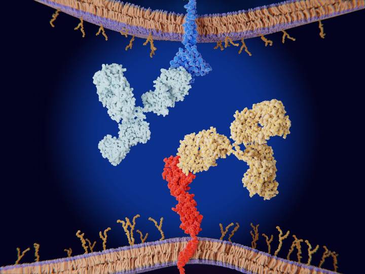 AI "Sees" Tumor Microenvironment, Predicts Microsatellite Response to ICI