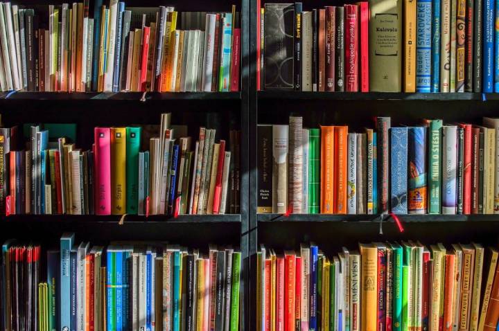 The Mid-Hudson Library System’s most-requested ebooks for the week ending Aug. 17, 2025