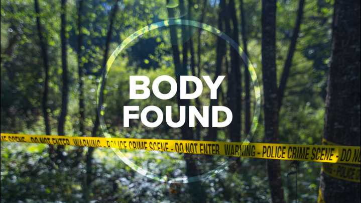 Body found in dunes near area where missing man was last seen, identification pending