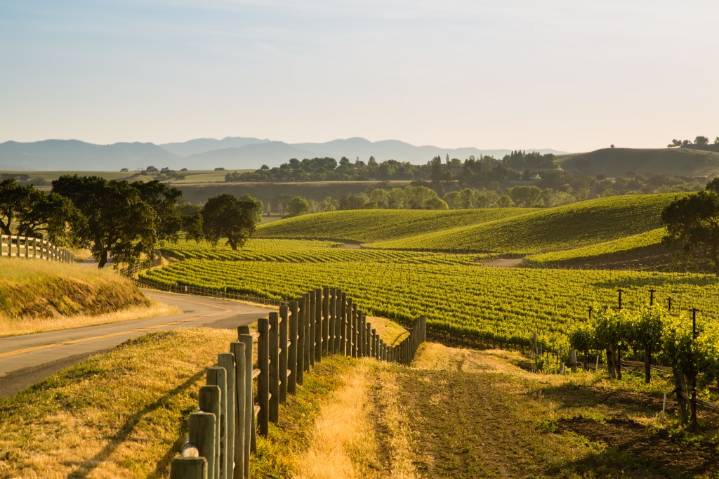 Larry Wilson: California vintners don’t like taxing wines from the EU