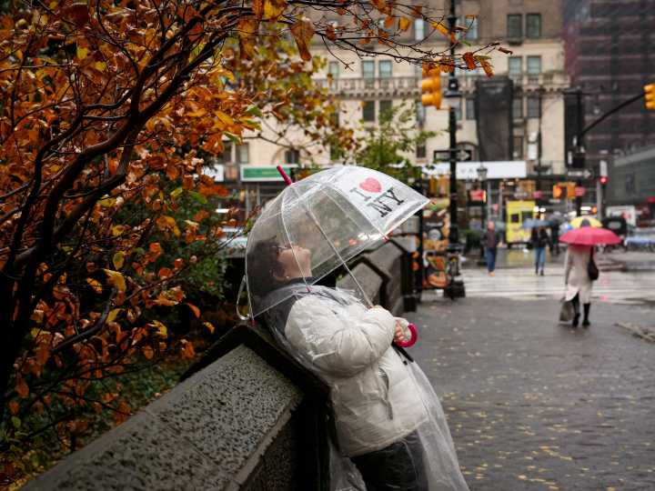 El tiempo hoy en New York: mucho calor, tormentas para la noche y todo sobre el estado del clima este domingo 17 de agosto de 2025