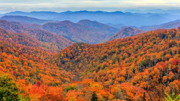 Fall color forecast: When is peak color in North Carolina for 2025?