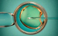 Thin Endometrium Shouldn't Lower Odds Of Successful IVF Pregnancy, Study Says
