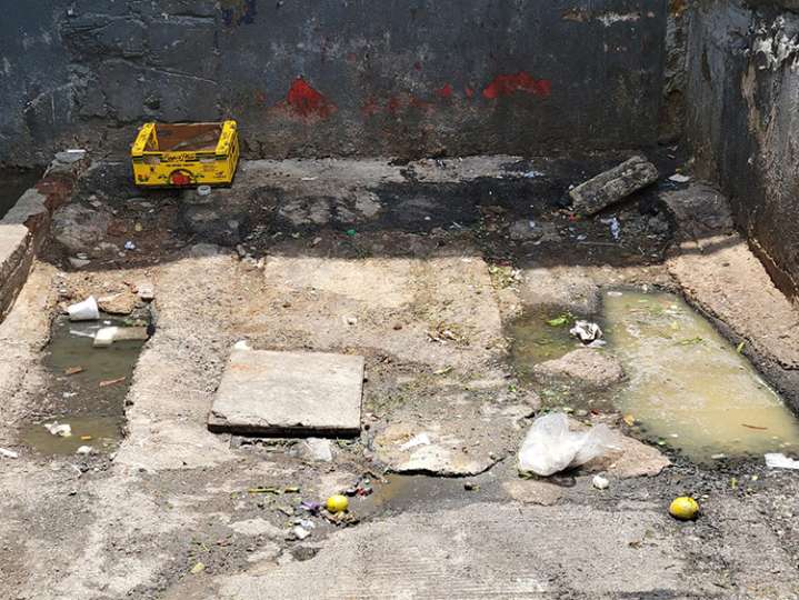 Dengue, 44% casos graves