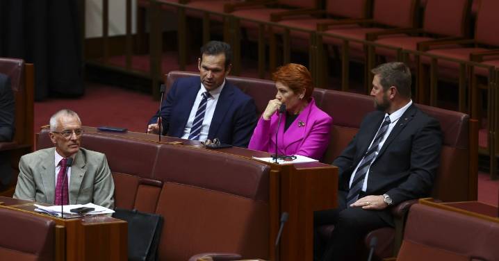 Warwick Stacey resignation: One Nation senator stands down just months after election due to health issues