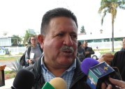 Asientos: pérdidas millonarias en cosecha de jitomate