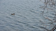 Elderly woman dies in Lake Vermilion