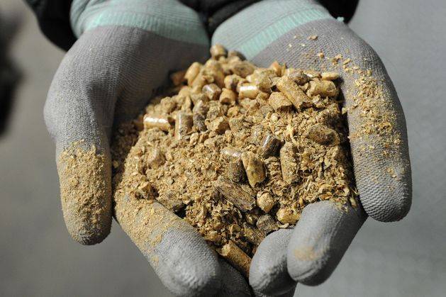 Drax under investigation by City watchdog over biomass sourcing