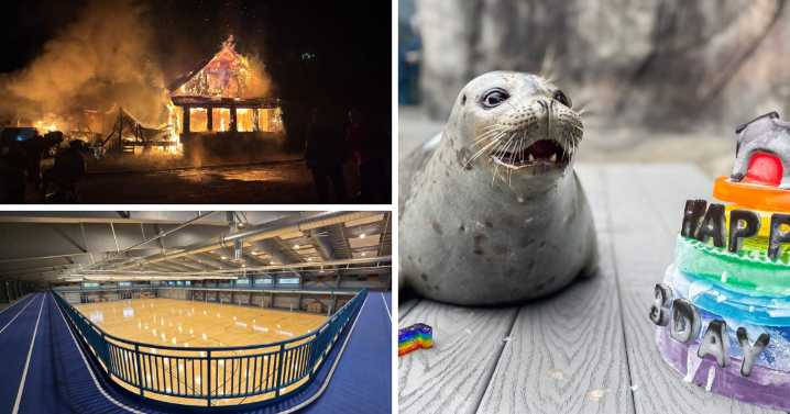AROUND ALASKA: Fire Safety, New Flooring, and Seal Birthday!