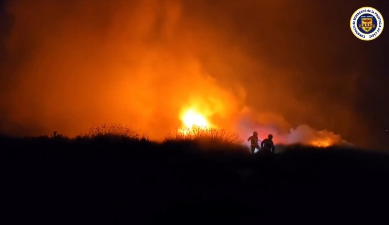 Arden diez hectáreas de terreno en un incendio en el Pinar de la Dehesa de las Yeguas