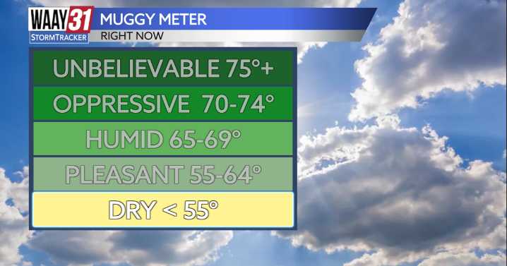 Near-perfect weather week ahead