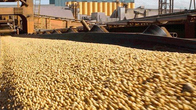 Representantes del campo exigen la eliminación total de retenciones: Perciben un trato desigual