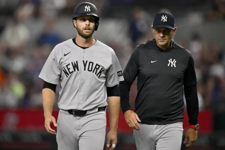 Yankees' Austin Slater begins rehab assignment