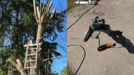 Tragedia en La Plata: un jubilado murió tras sufrir un corte con una motosierra mientras podaba un árbol