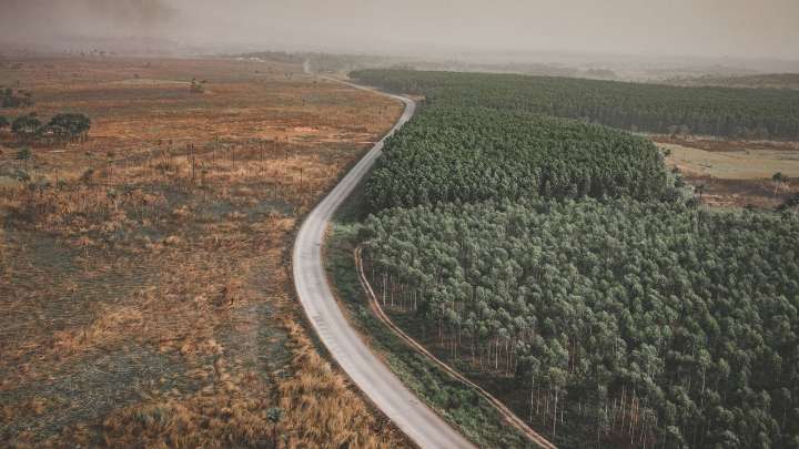 "La Deforestación en la Amazonía Crece Alarmantemente,”, afirma Carlos Mauricio Herrera de WWF