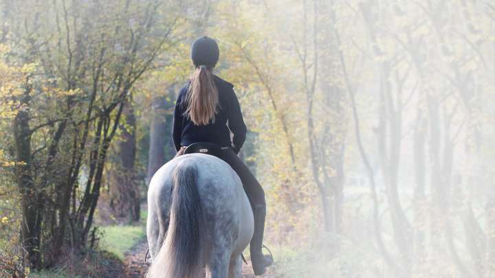 Equestrians’ frustrations at hollow promises around woodland access