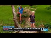 Family gives new life to fallen tree from Helene