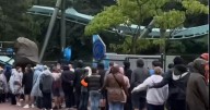 Alton Towers fan shares 'insane' rollercoaster queue times and gives top tip