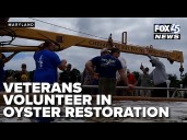 Veterans find healing and purpose in Chesapeake Bay oyster restoration